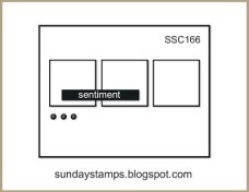 SSC166_logo.jpg
