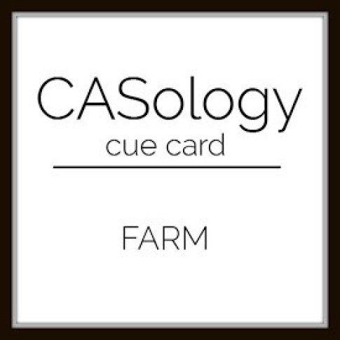 Casology303_logo