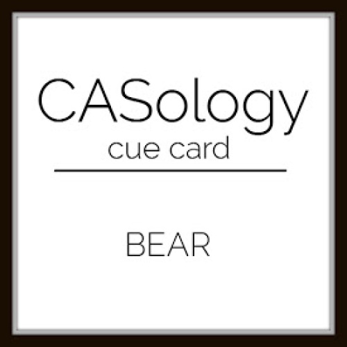 CASology306_logo
